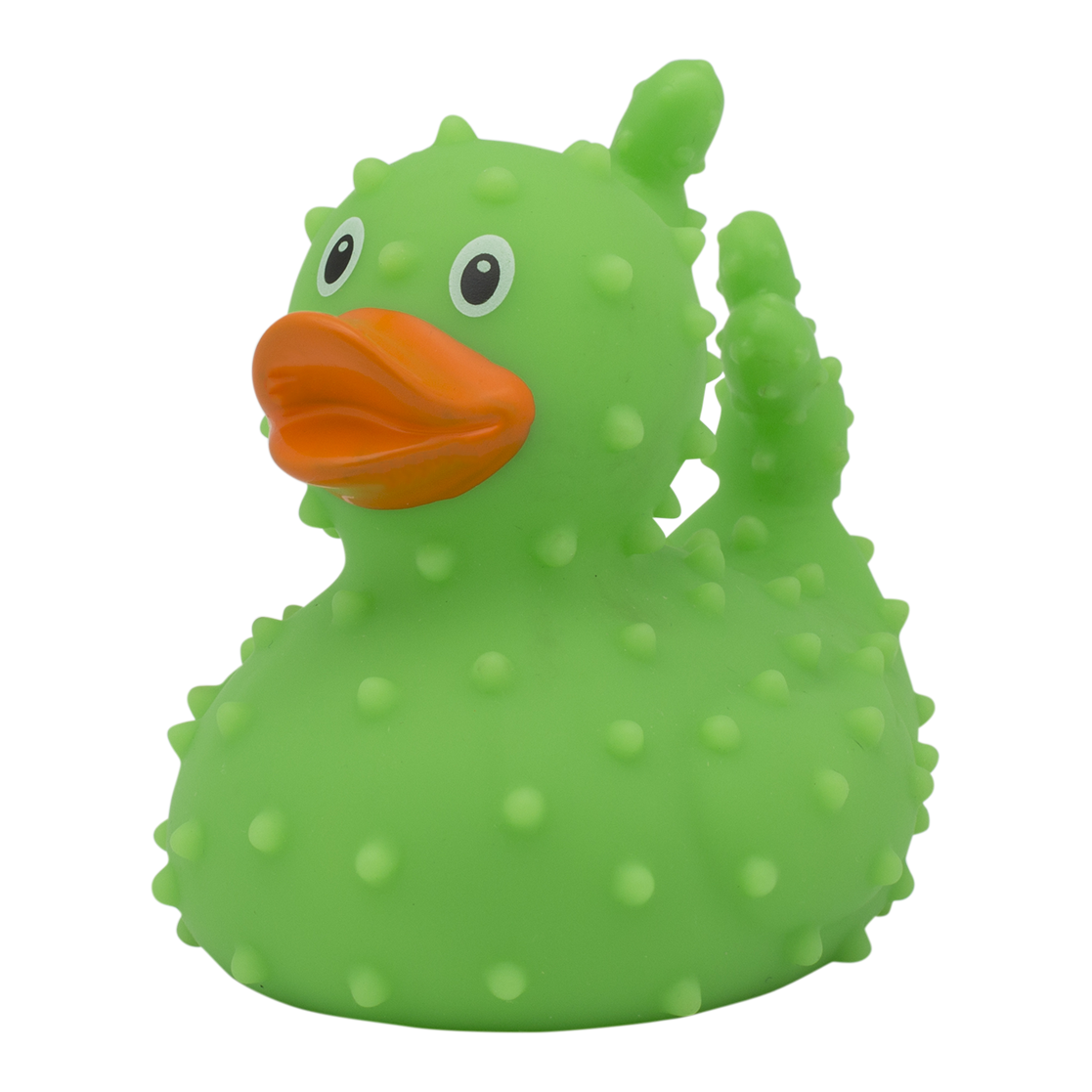canard-cactus-lilalu