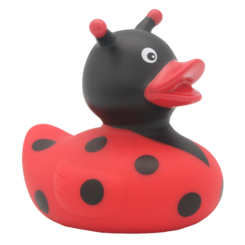 canard-coccinelle-lilalu
