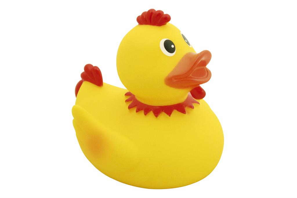 canard-poulet-waterworld