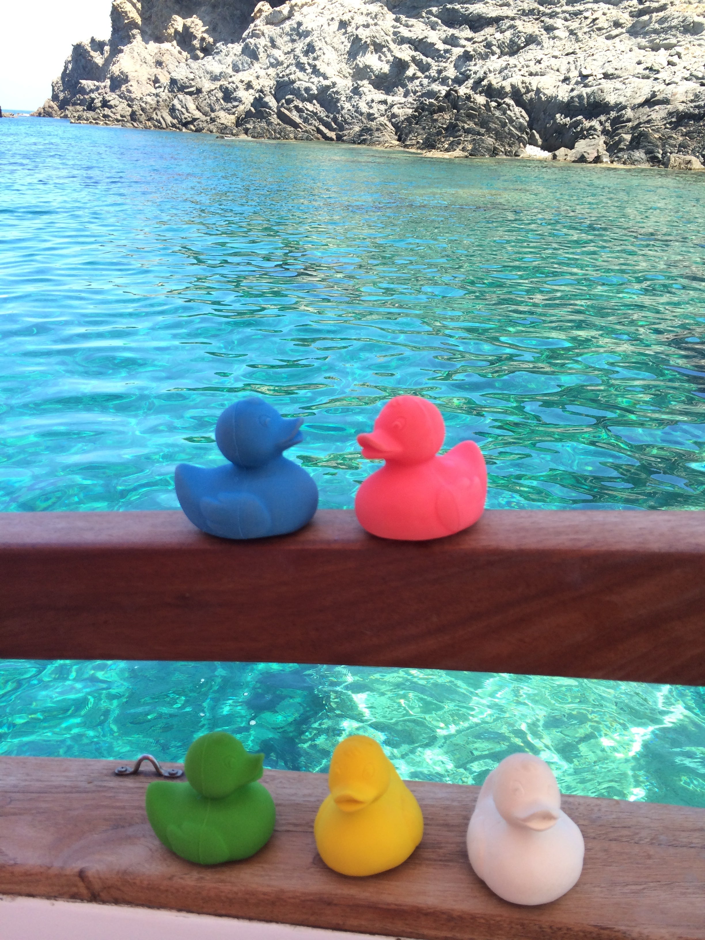 canard-monochrome-jaune-oli-carol