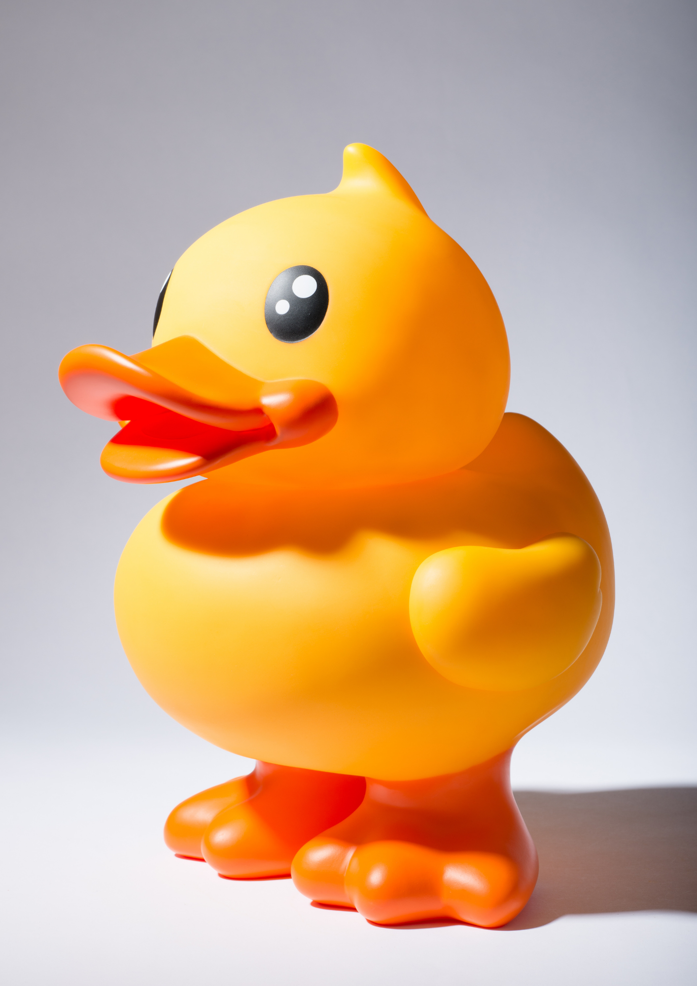 XXL Spardose Gelbe Ente – Canard de Bain
