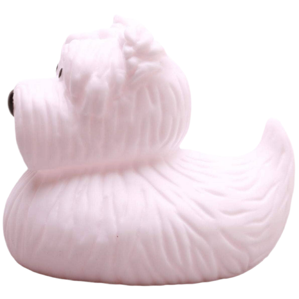 Scottish Duck Terrier