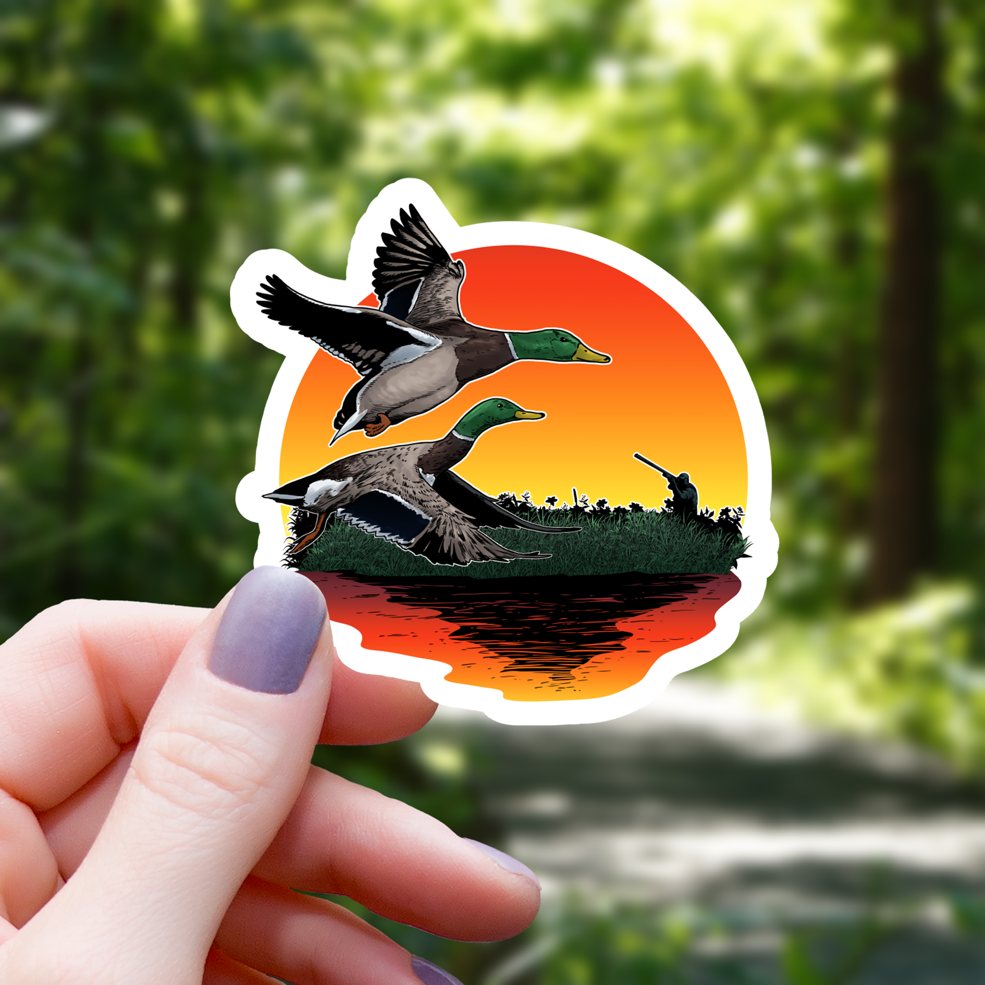 Stockenten bei Sonnenuntergang Sticker