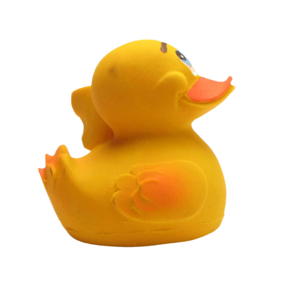 Enten-Stolz