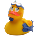 Snorkeling Duck