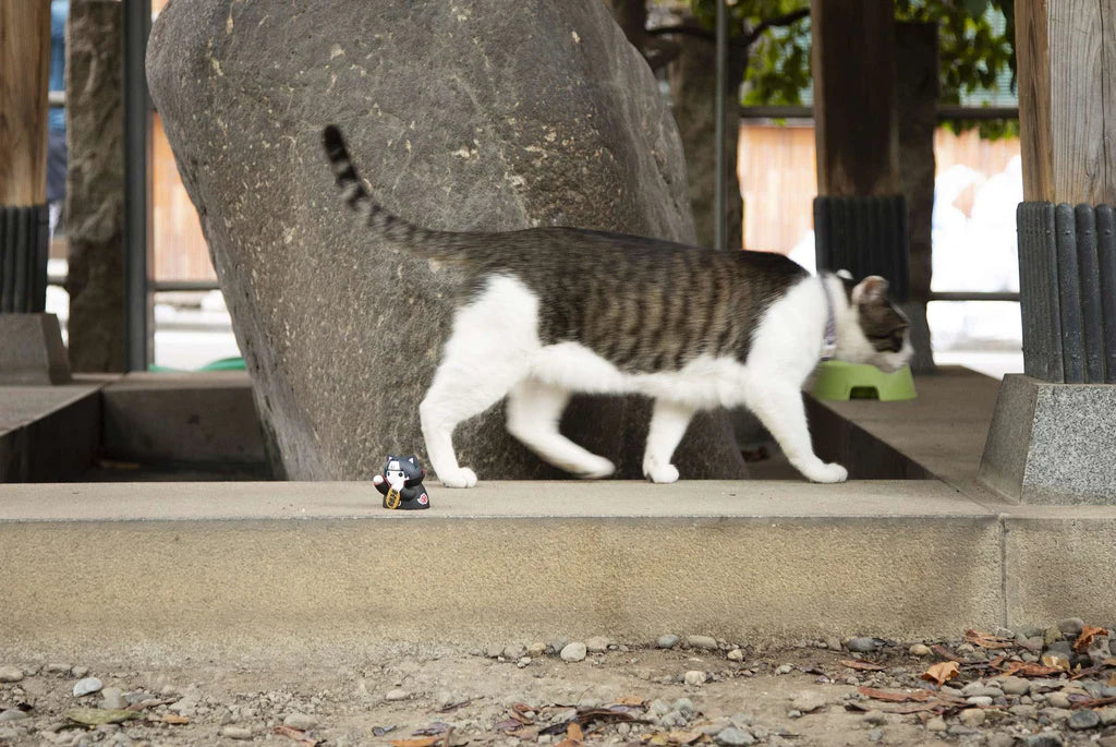 Mega Cat Project Nyaruto!