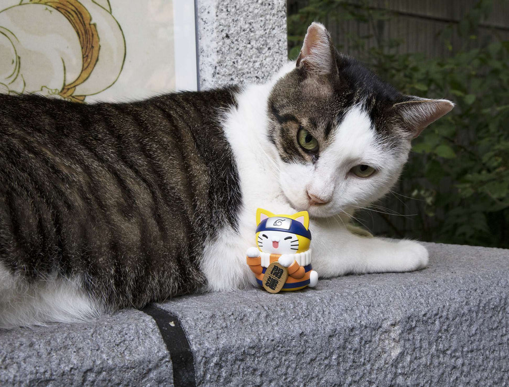Mega Cat Project Nyaruto!