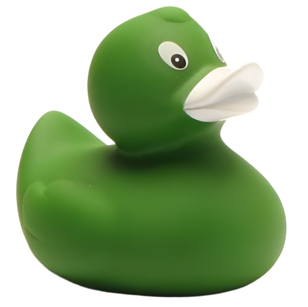 canard classique vert 1