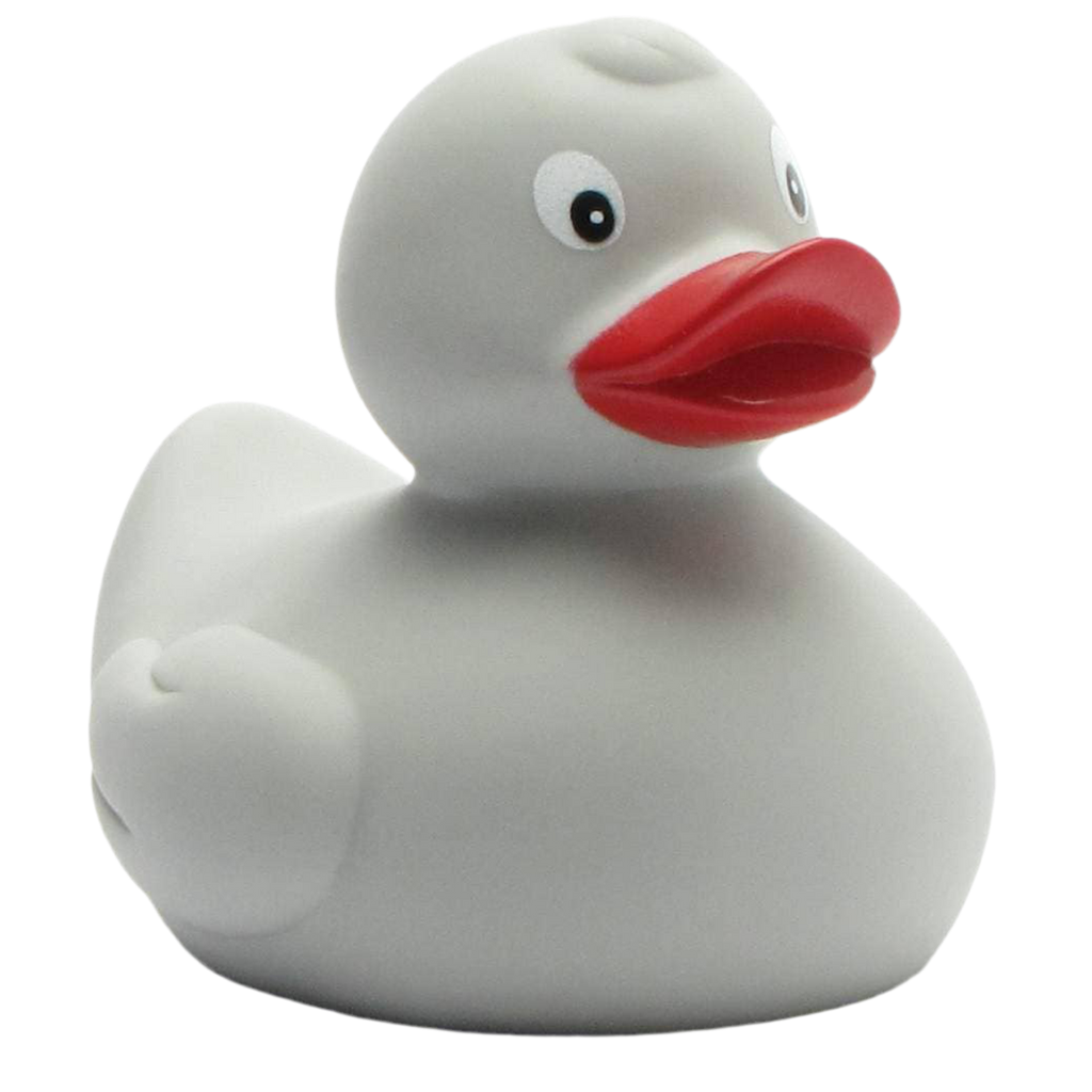 canard classique gris