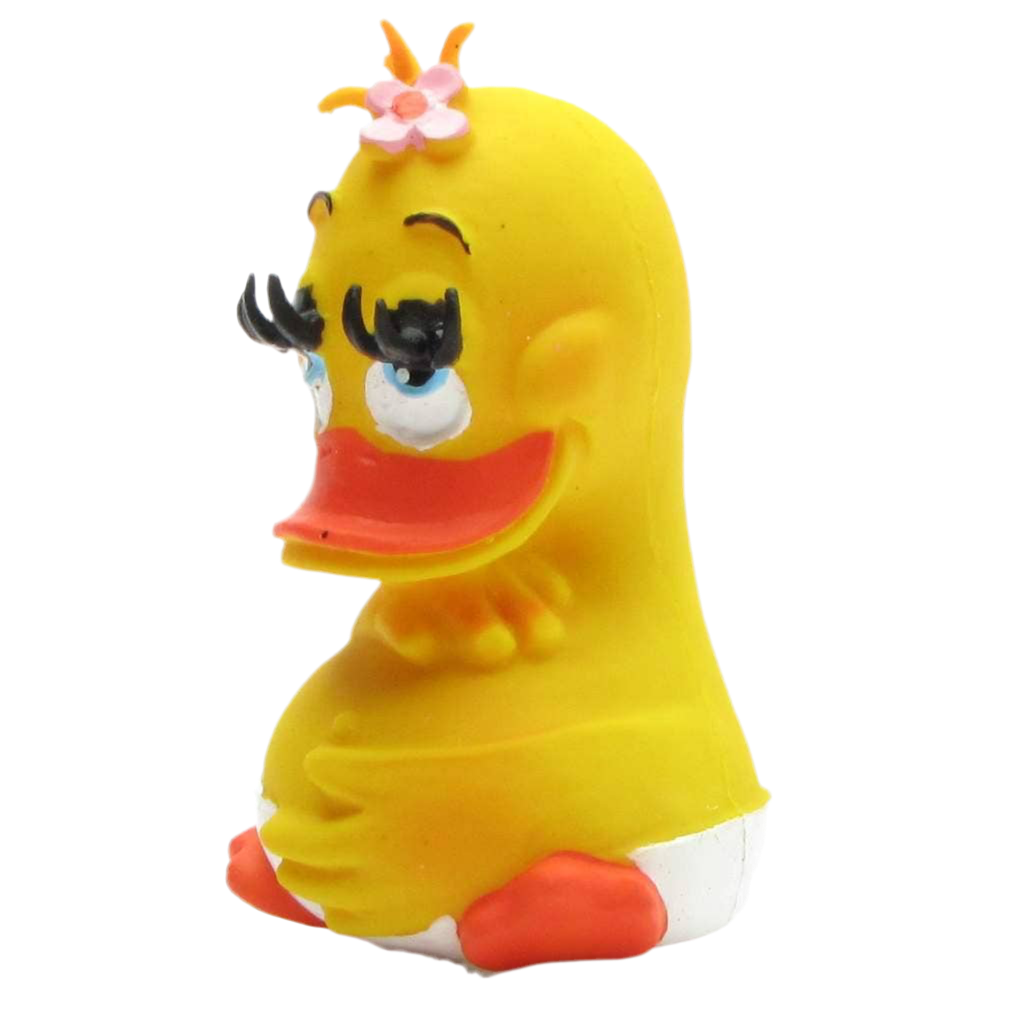 Canard Femme Enceinte