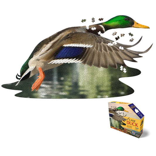 Puzzle Canard Colvert "I Am - Canard" 1000p