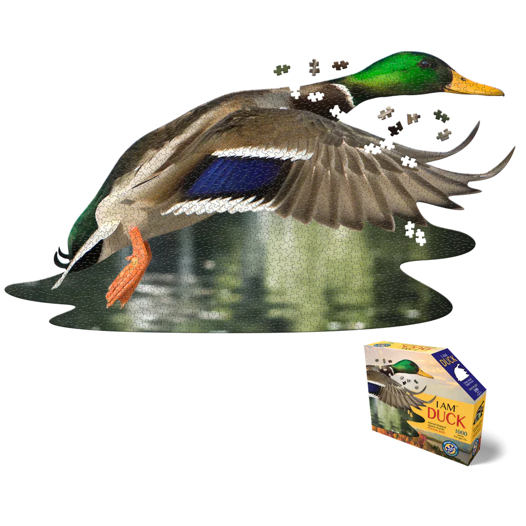 Puzzle I Am - Canard Colvert