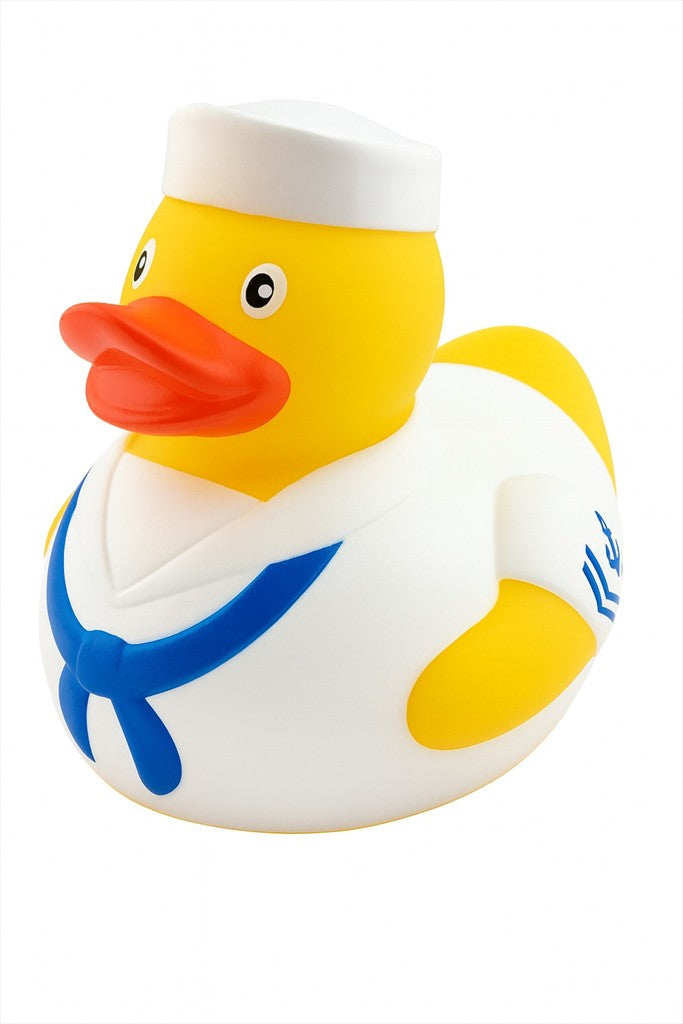 American Seal Duck