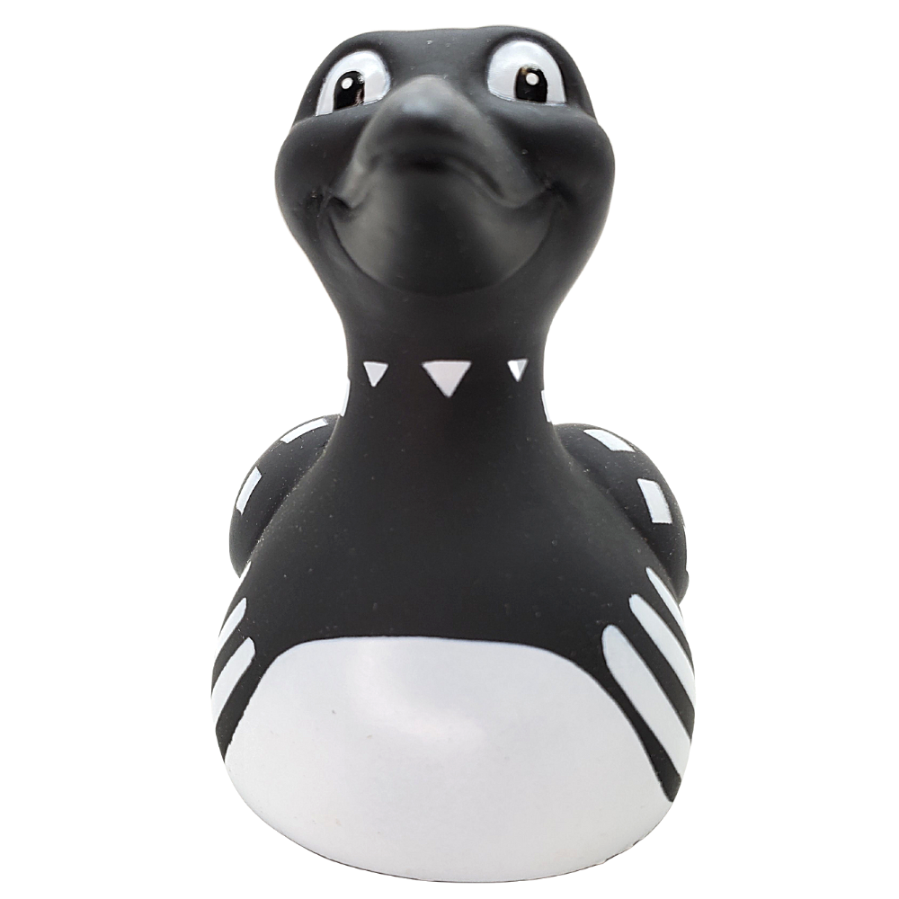 Duck Claire The Loon