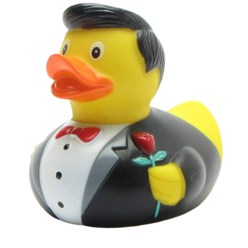 Ballroom Cavalier Duck