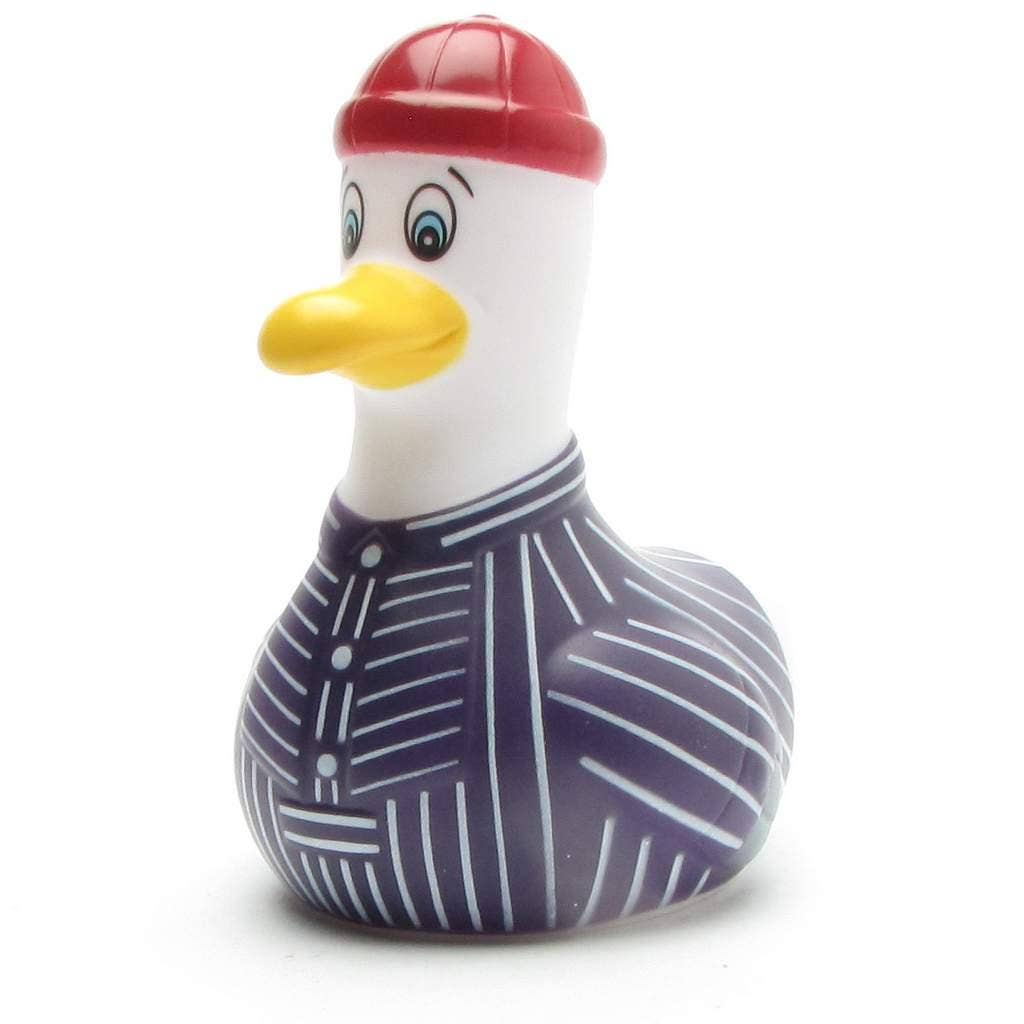 Möwe