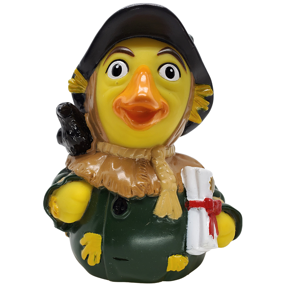 Vogelscheuchenente