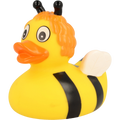 Canard Abeille