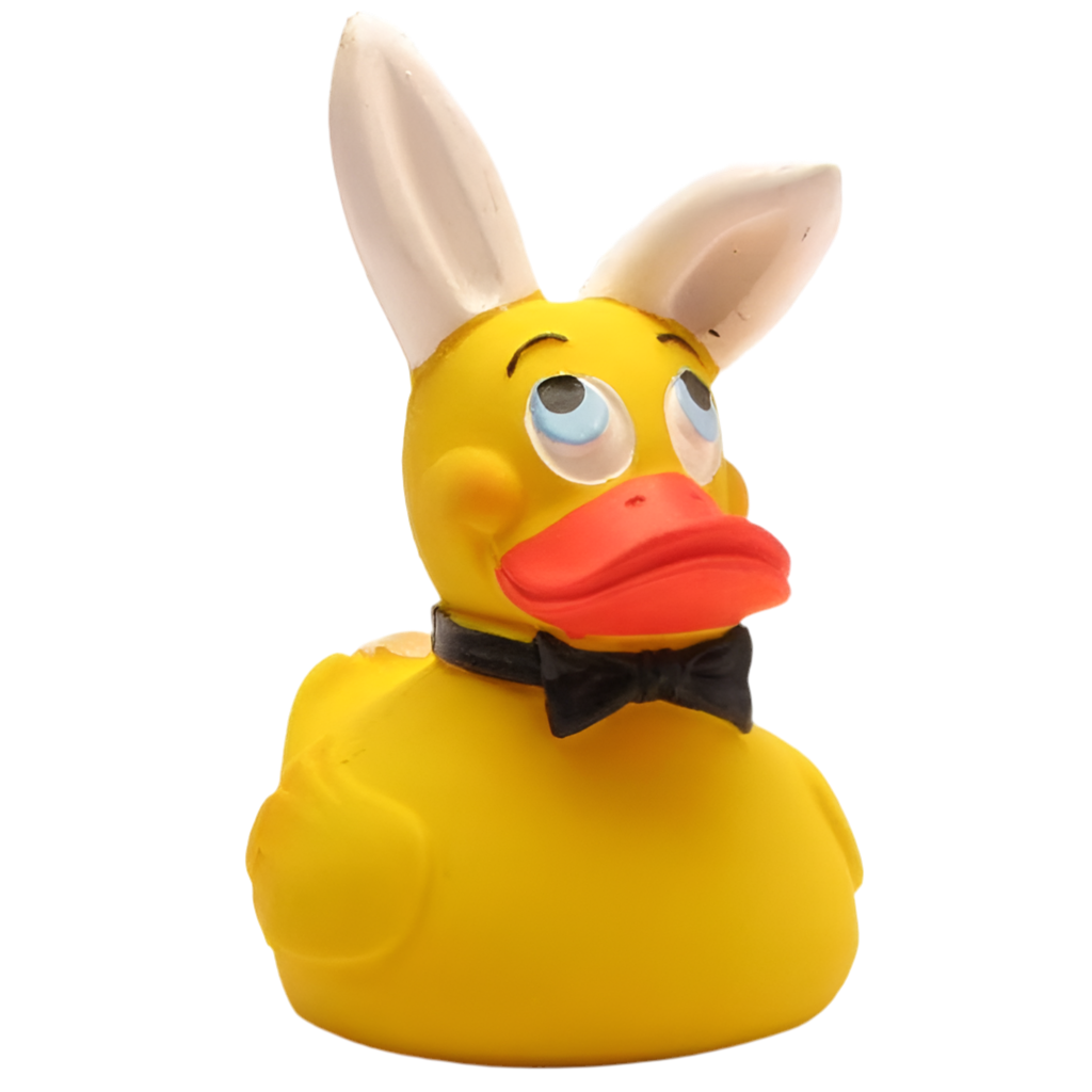 Entenhase
