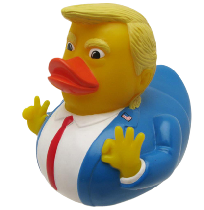 Duck President