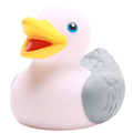 Badende Möwe