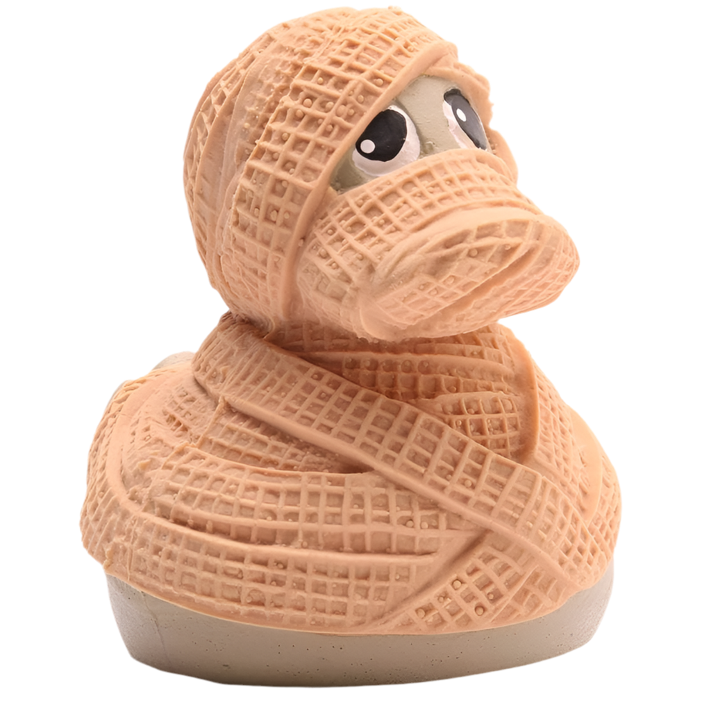 Mummy Duck