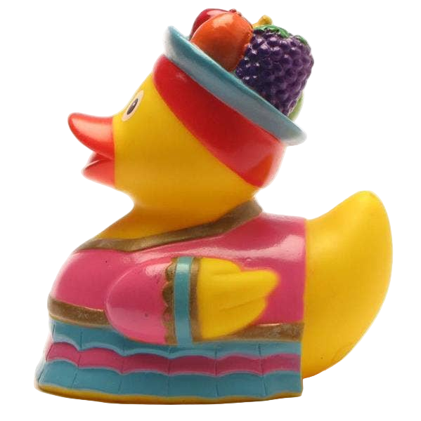 Ente mit Fruchthut