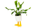 Pot de Fleur Pattes de Canard – Petit