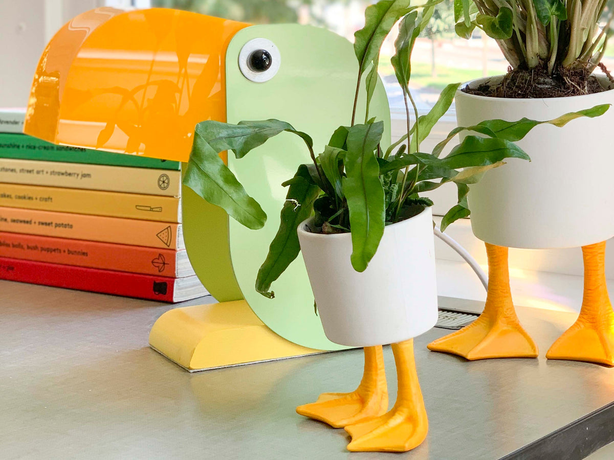 Duck Feet Planter Small