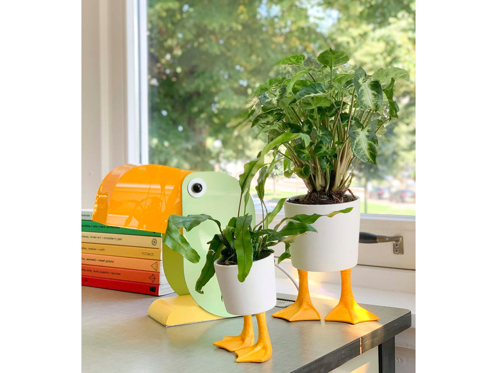 Pot de Fleur Pattes de Canard – Grand