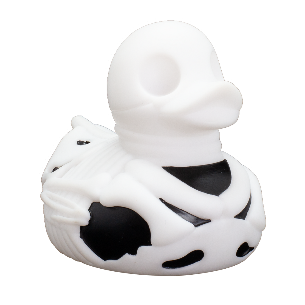 Duck Skeleton Bones