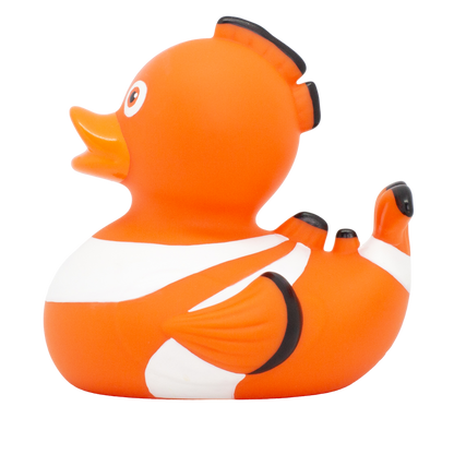 Canard Poisson Clown