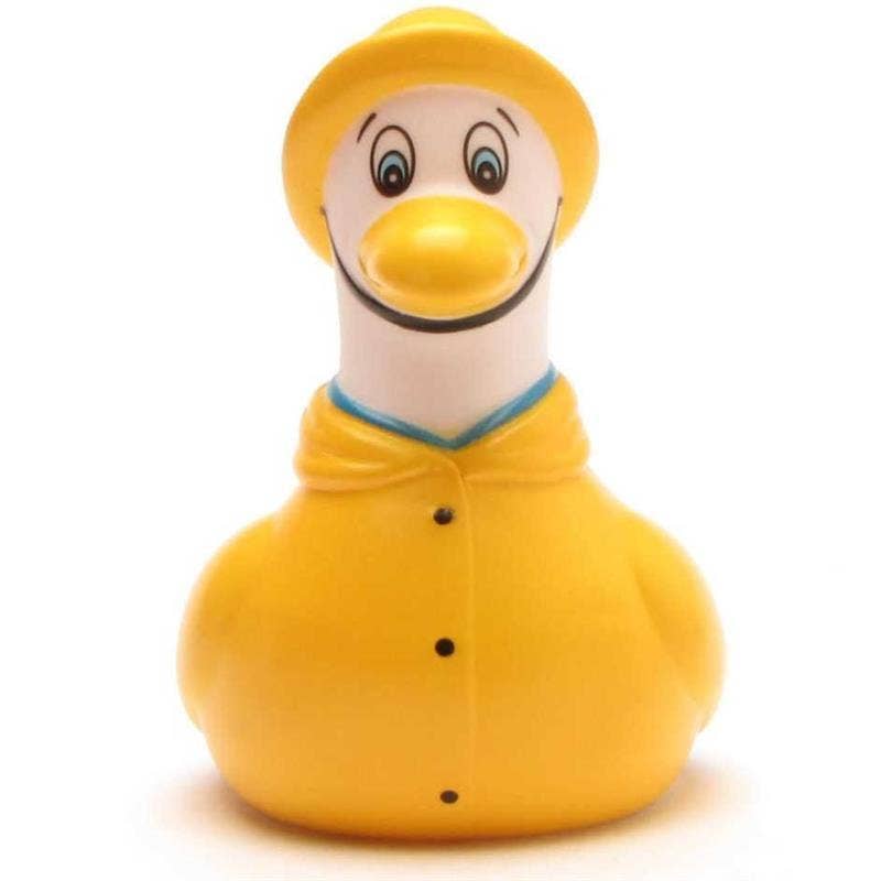 Seagull in a Yellow Raincoat