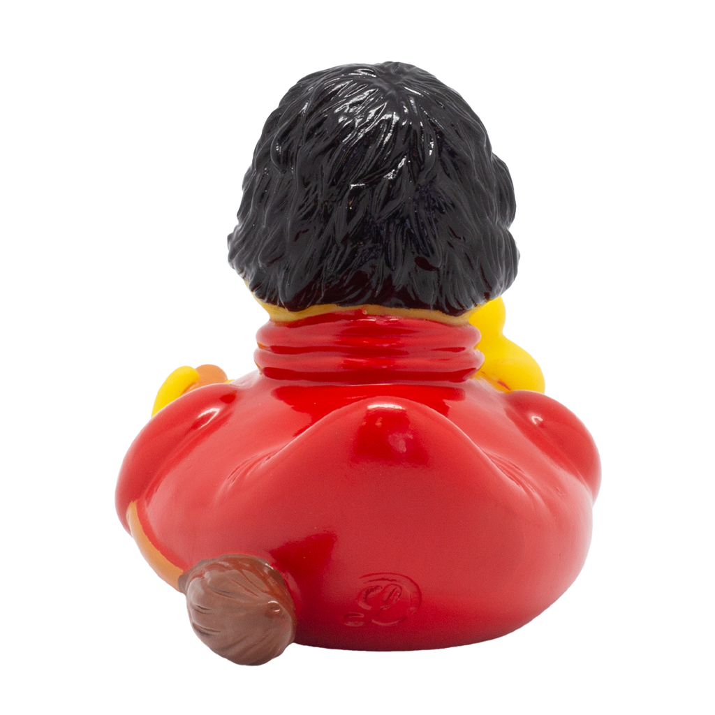 canard sorcier lilalu