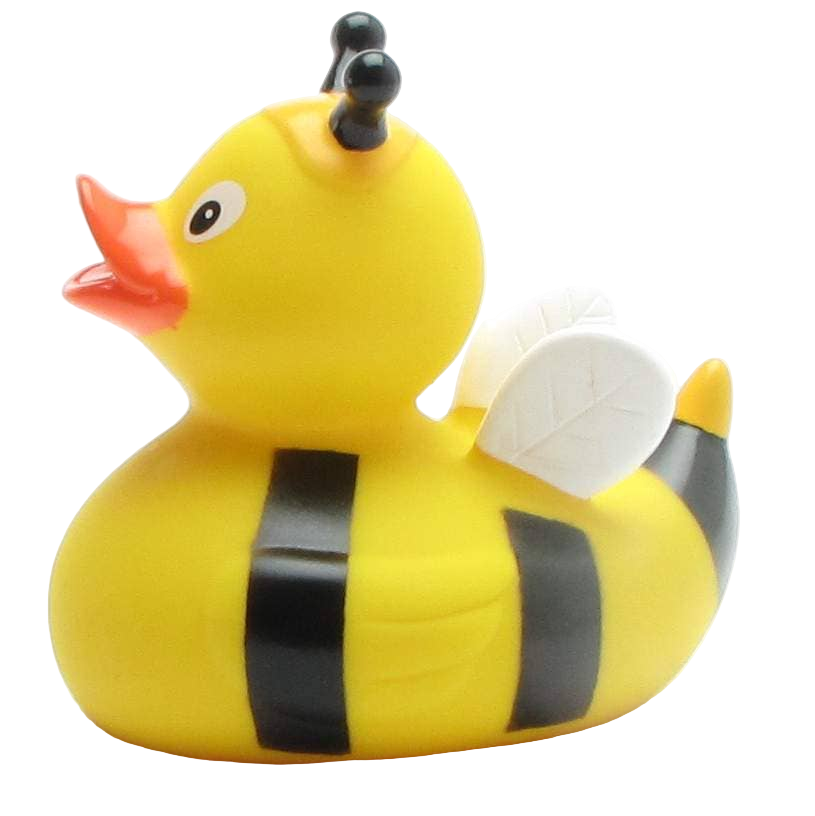 Duck Bee