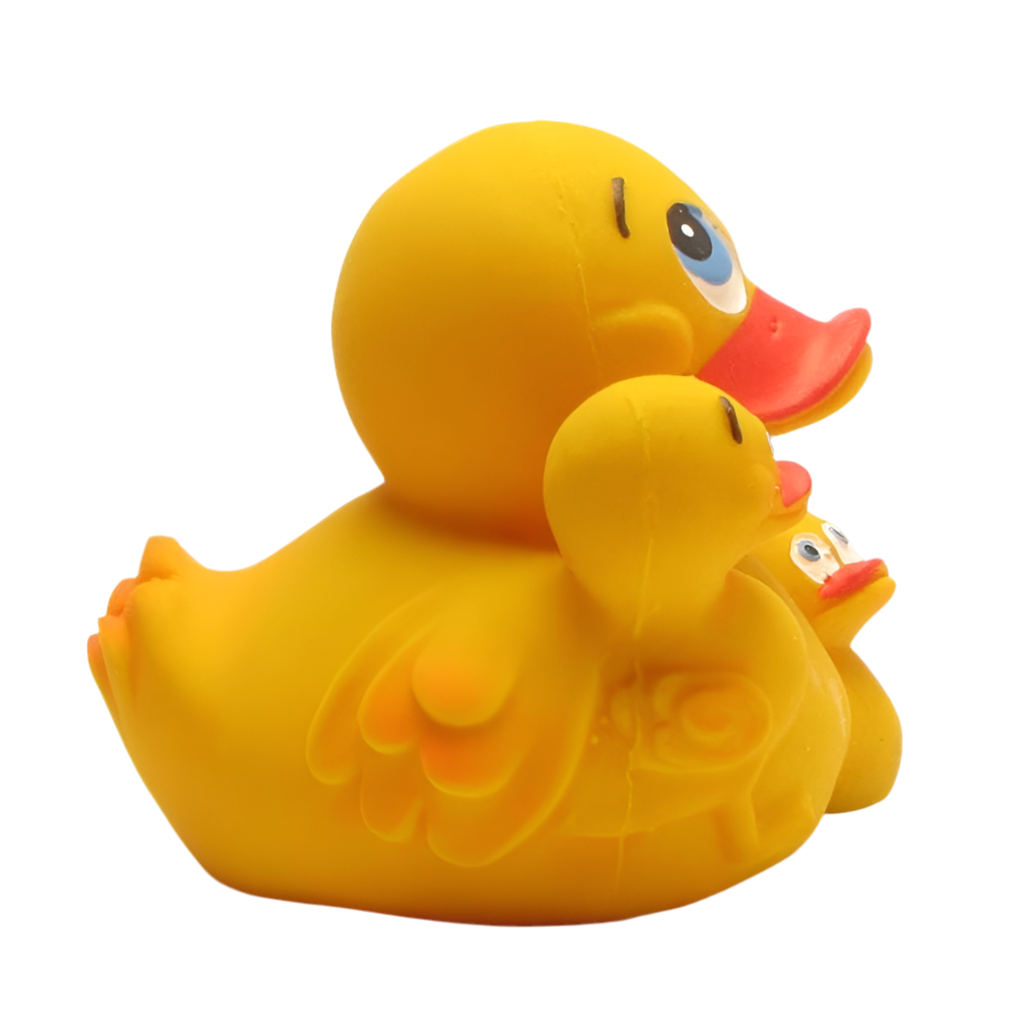 Duck Mom