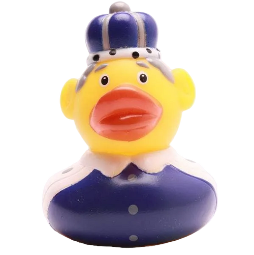 Canard Roi Charles - Bleu
