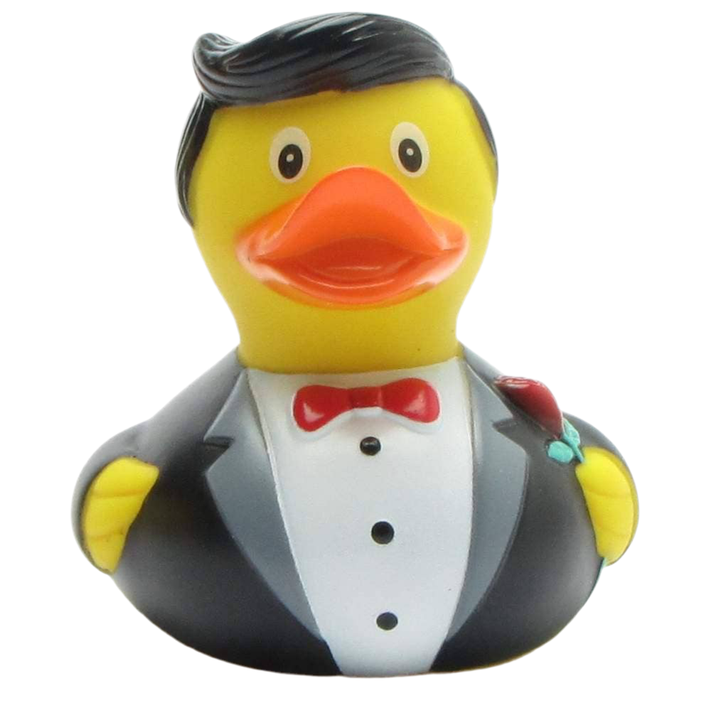 Ballroom Cavalier Duck