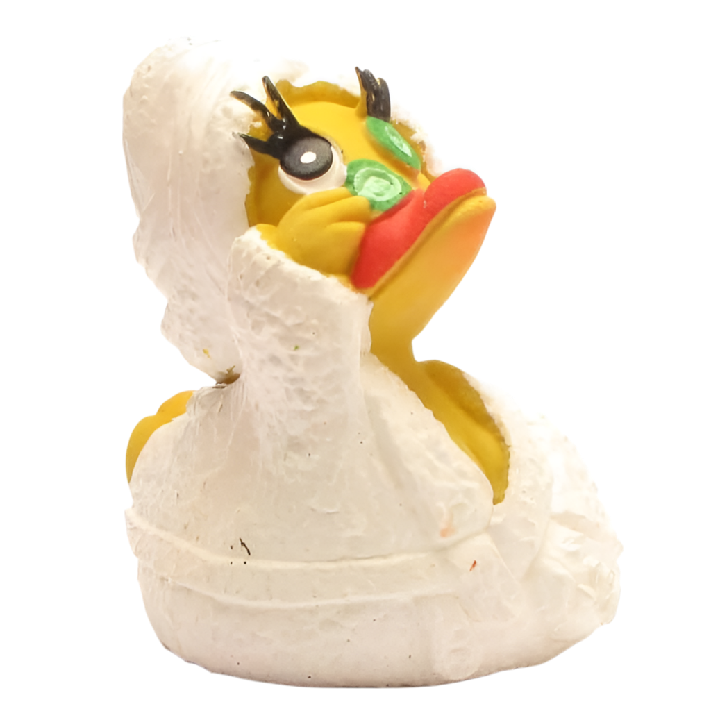 Duck Wellness