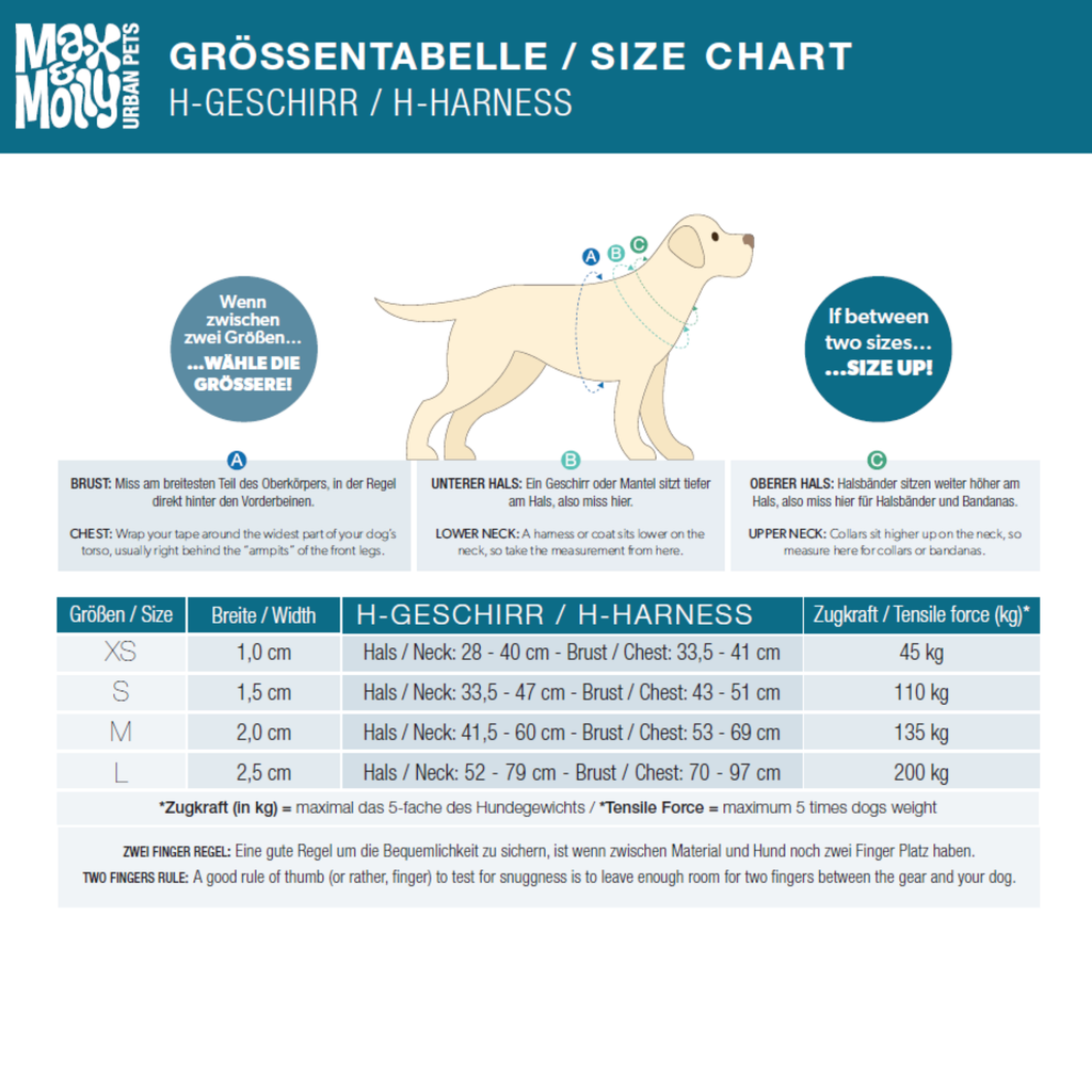 Harnais en H - Canards