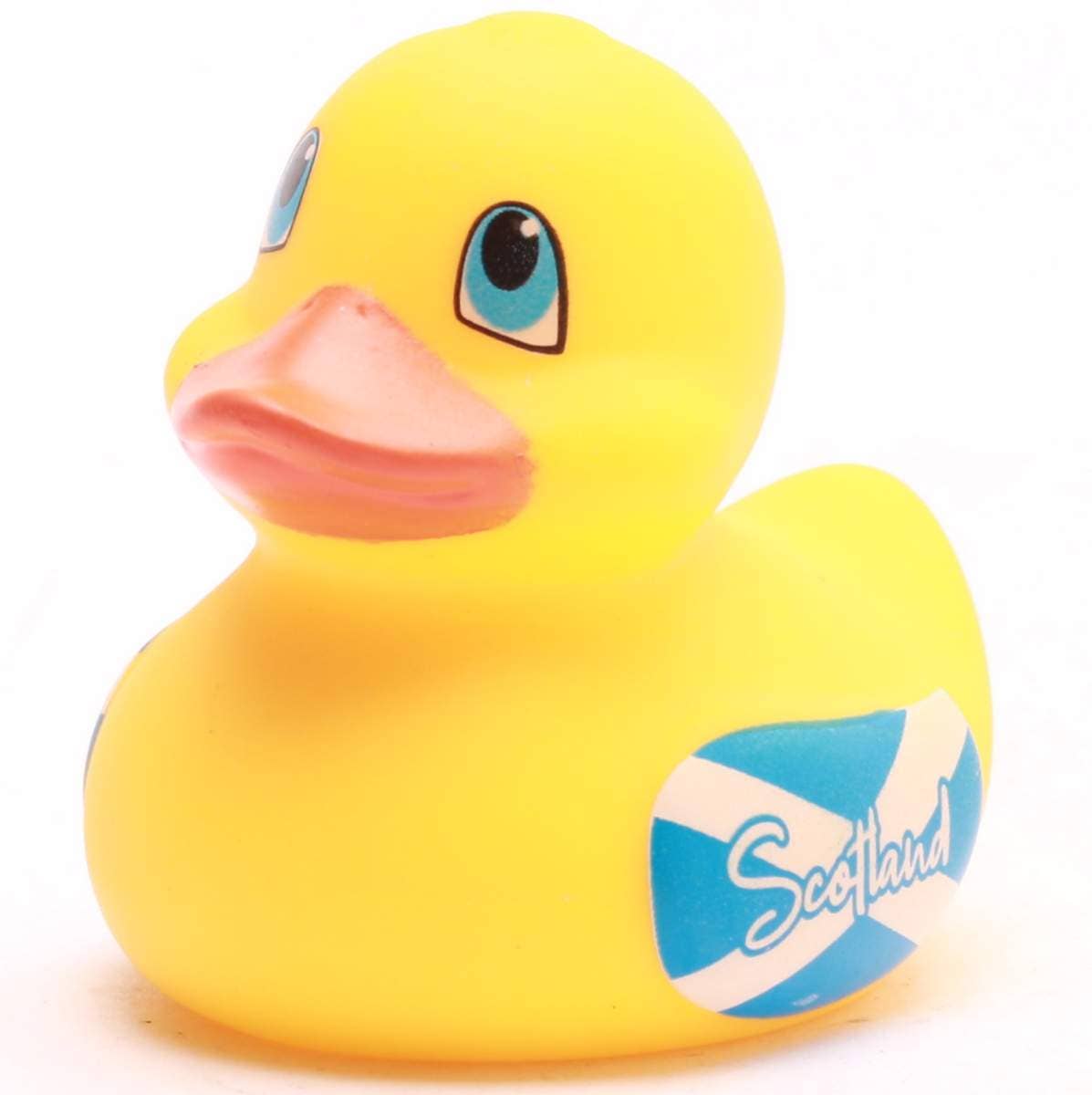 Mini Canard Écosse