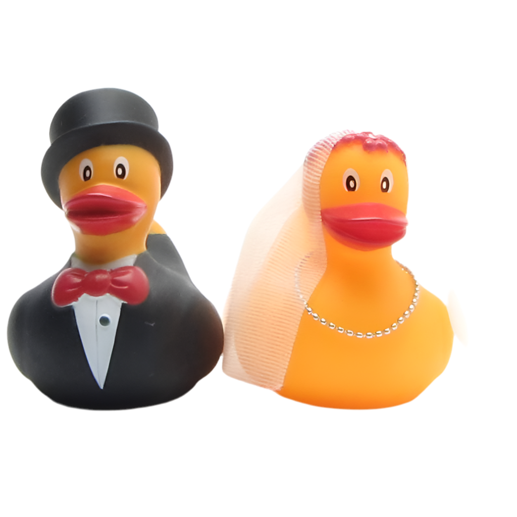 Married Duck Couple