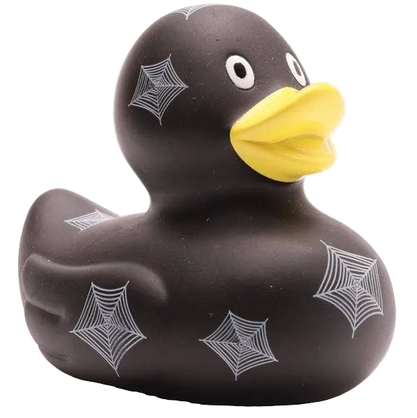 Canard Toile d'araignée