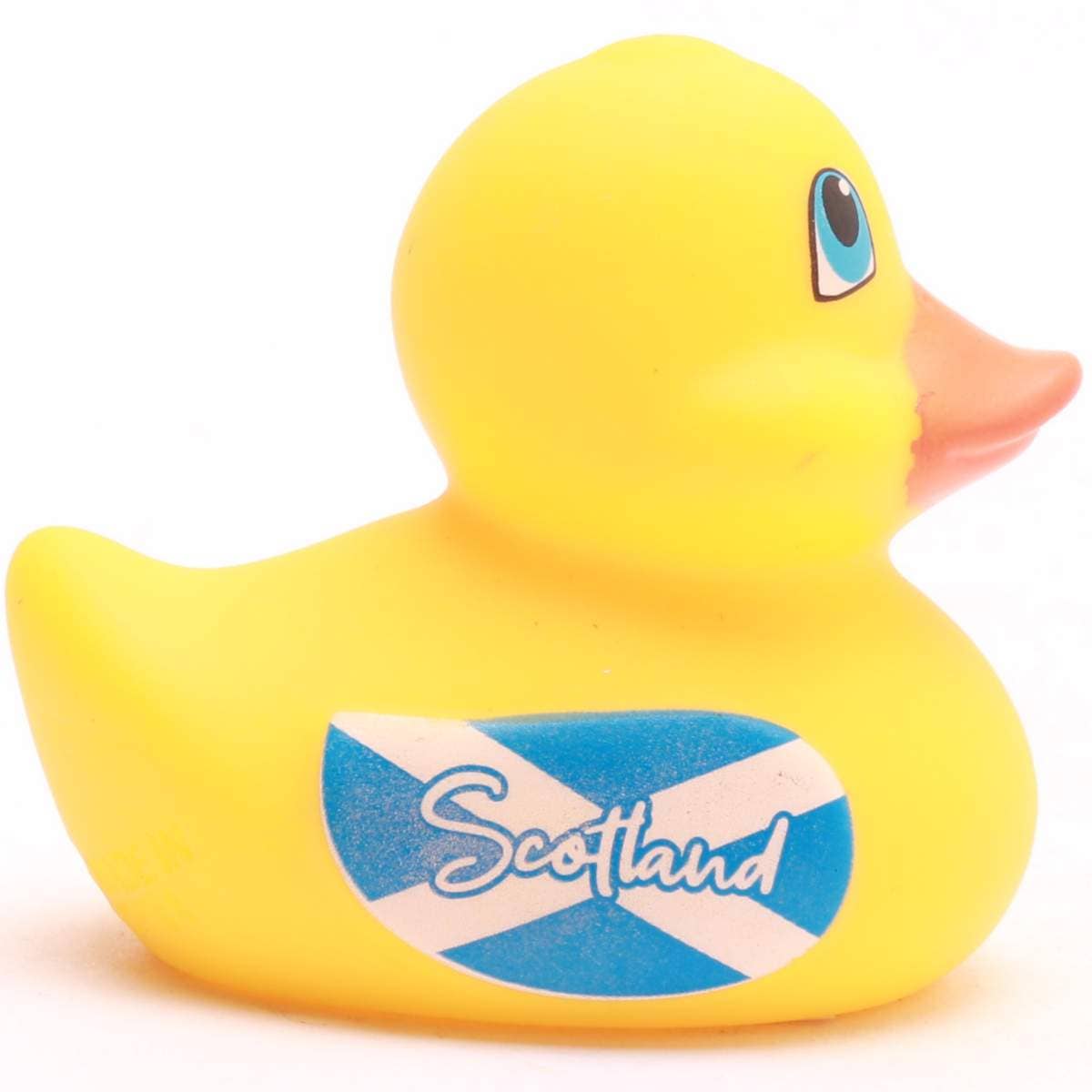 Mini Canard Écosse