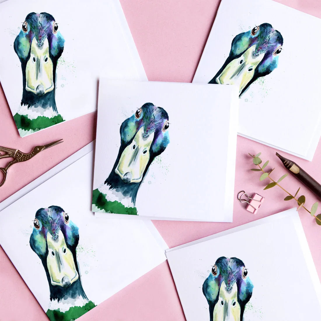 carte-de-voeux-aquarelle-canard-colvert-kate-moby