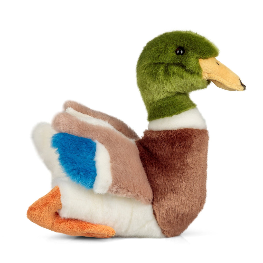 ANIMIGOS LE MONDE DE LA NATURE CANARD COLVERT