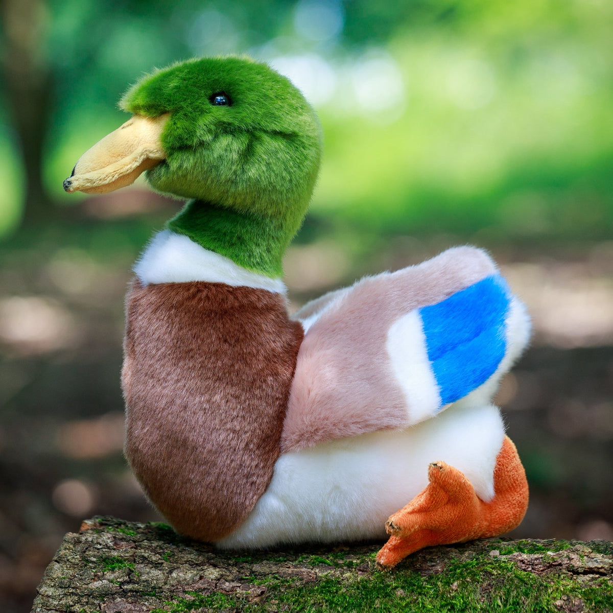 Peluche Animigos Canard Colvert