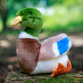ANIMIGOS LE MONDE DE LA NATURE CANARD COLVERT
