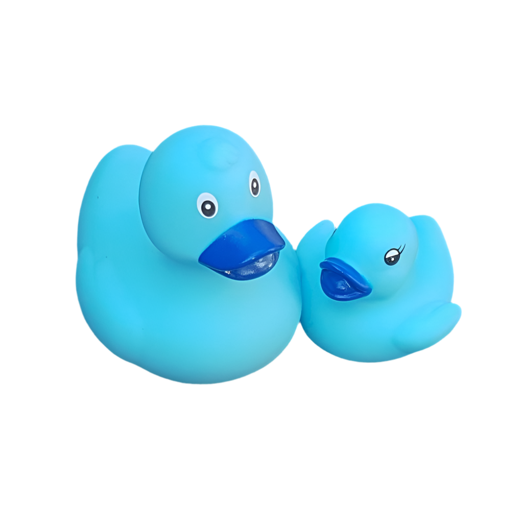 canard-classique-dutch-ducky