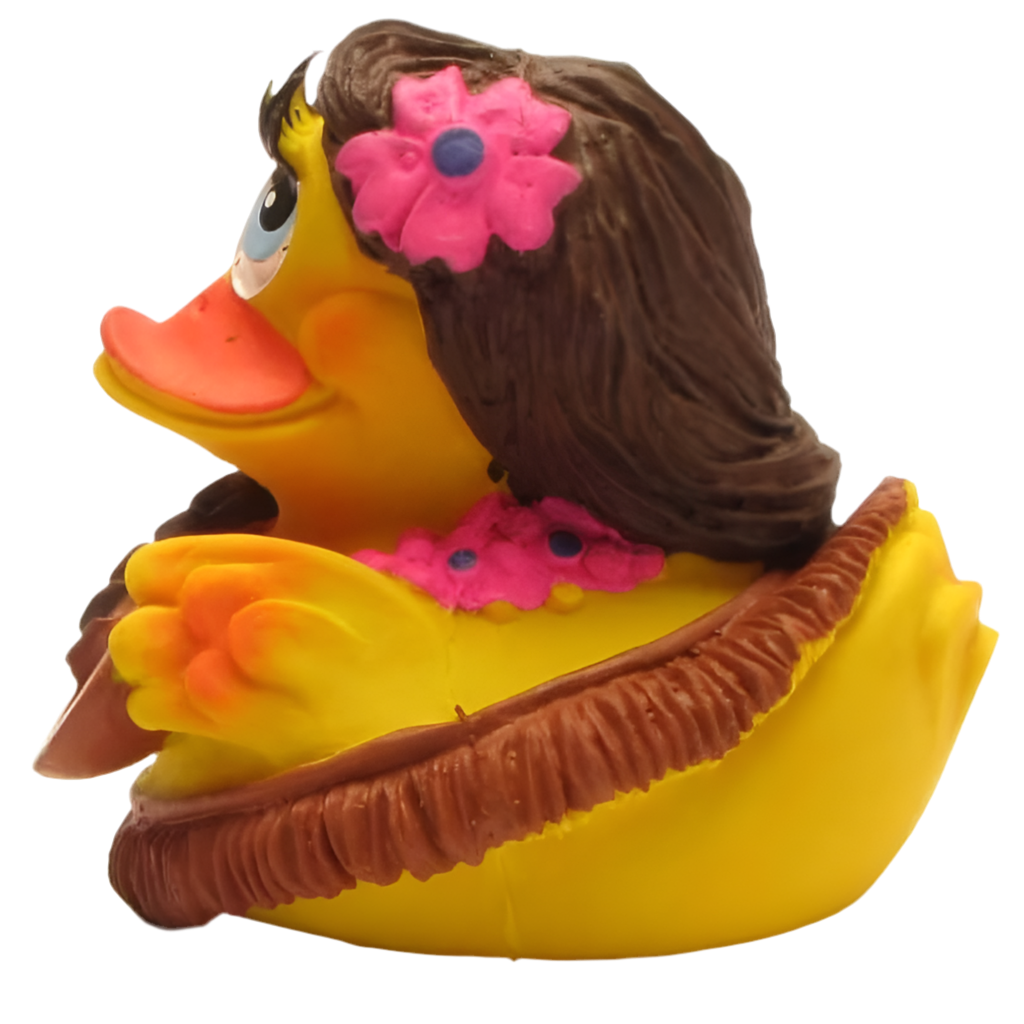 Hawaiian Duck